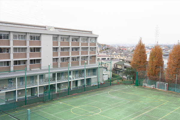 田園 調布 学園 大学