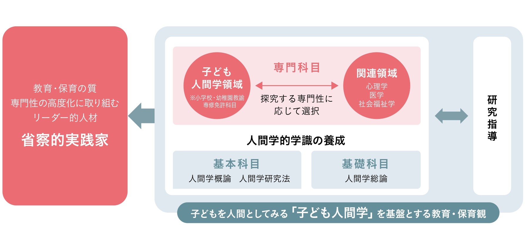 カリキュラム